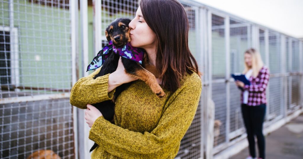 Woman holding a dog at an animal shelter.