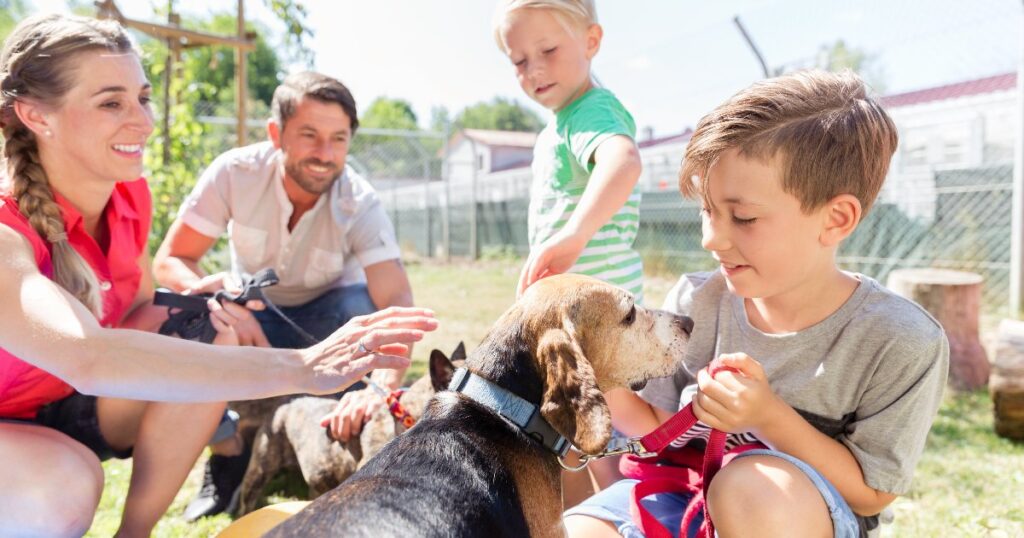 Dog Adoption: 5 Reasons to Ask About Social Behavior