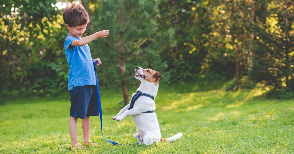 Boy training a dog.