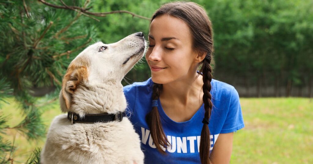 Dog Adoption: 6 Reasons to Ask About the Dog’s Background